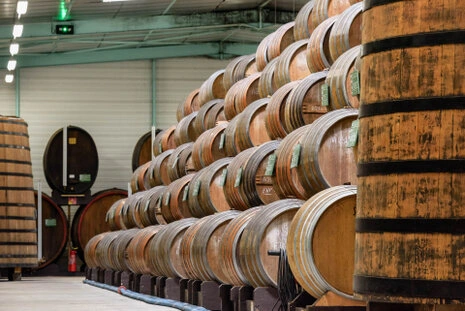 Rangées de grands fûts en bois alignés dans un espace de production ou de stockage