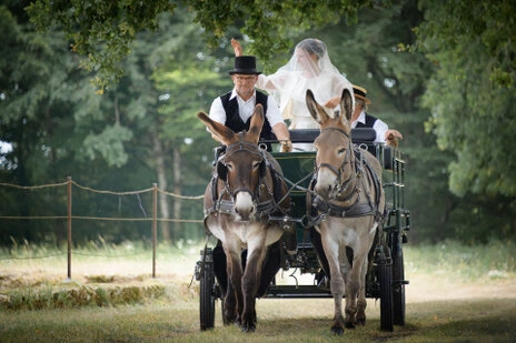 Mariée debout dans une calèche tirée par des ânes, accompagnée de cochers lors d’un mariage en extérieur