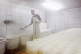 Homme réalisant une étape de fabrication fromagère dans un atelier avec des moules à fromage alignés