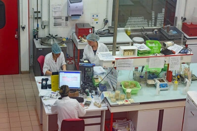 Techniciennes travaillant dans un laboratoire avec du matériel d’analyse et des échantillons en cours de traitement