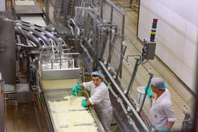 Techniciens travaillant sur une ligne de production alimentaire avec manipulation de matière en cours de transformation